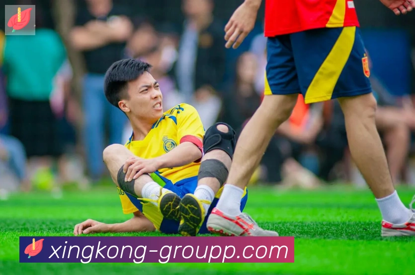 星空体育官网入口荣誉