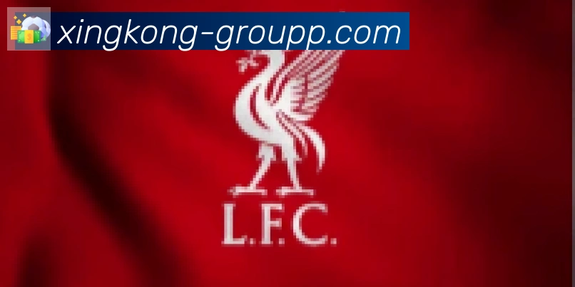 星空体育官网入口合作伙伴