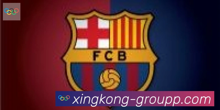 星空体育官网入口合作伙伴